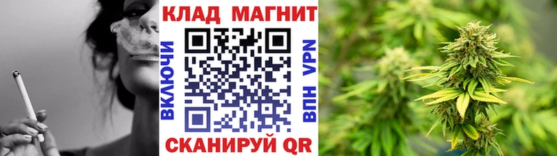 Где купить Домодедово Галлюциногенные грибы  АМФ  ГАШ  Cocaine 