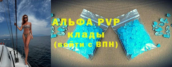 прущие крисы Абаза