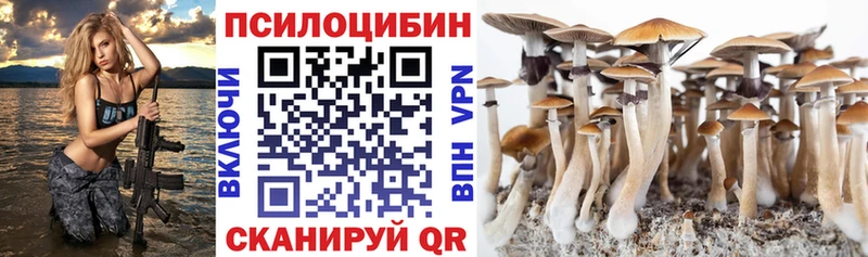 мега   Домодедово  Псилоцибиновые грибы Magic Shrooms 